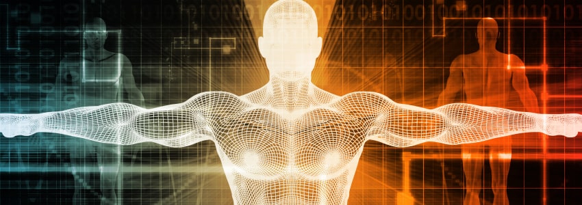 Stylized illustration of a computer rendering of a human body.