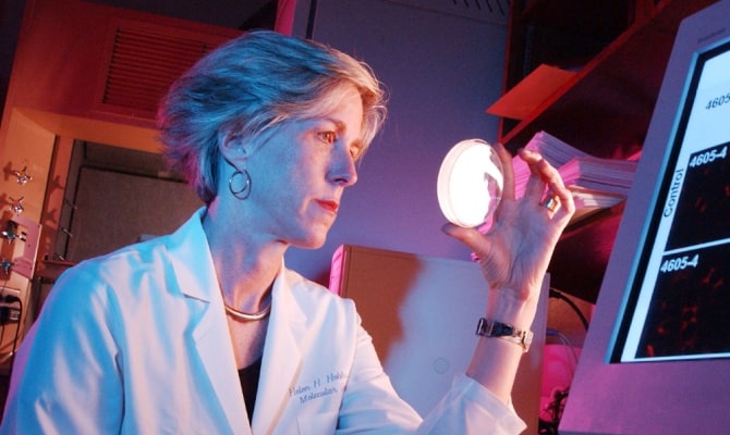 Helen Hobbs looks at a Petri dish in her lab.