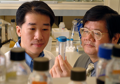 Dr. Hung with a trainee peer at the contents of a test tube.