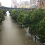 UT Houston PD Chief William Adcox reports, "I have attached a photo to give you an idea of the amount of water we experienced on our campus.  Official reports show some areas in Houston received in excess of 50 inches of rainfall, with the Texas Medical Center receiving in excess of 30 inches."