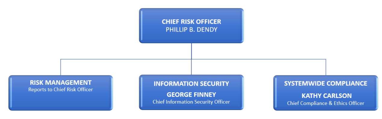 Visual Representation of RISC Services Leadership
