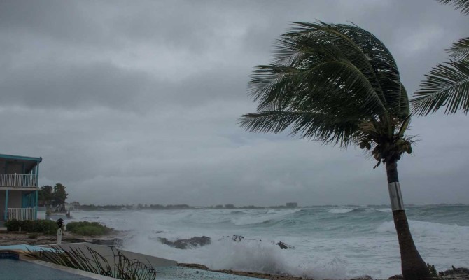 Scene of a beach and a palm trees with a storm and wind going on