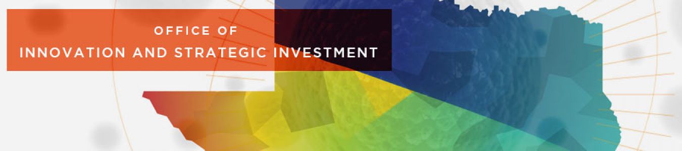 Innovation Strategic Investment
